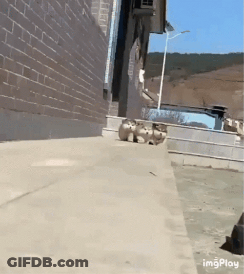 Falling Down GIF