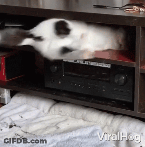 Falling Down GIF
