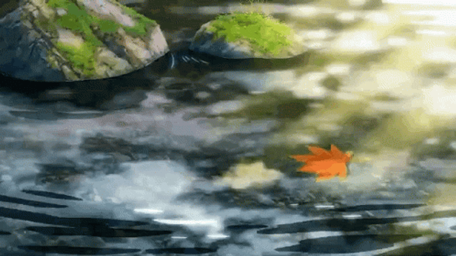 Falling Leaves On River GIF