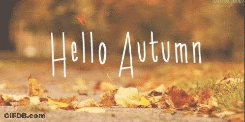 Falling Leaves Saying Hello Autumn GIF