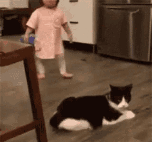 Falling Little Girl By Cat GIF