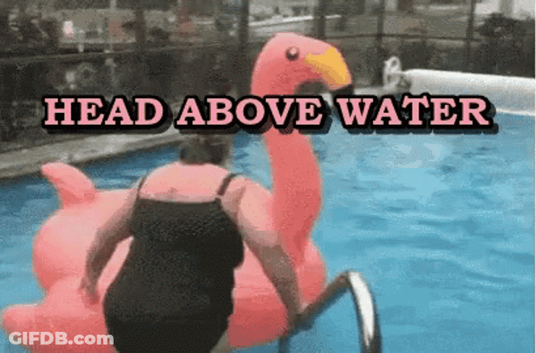 Falling On A Flamingo Floater GIF