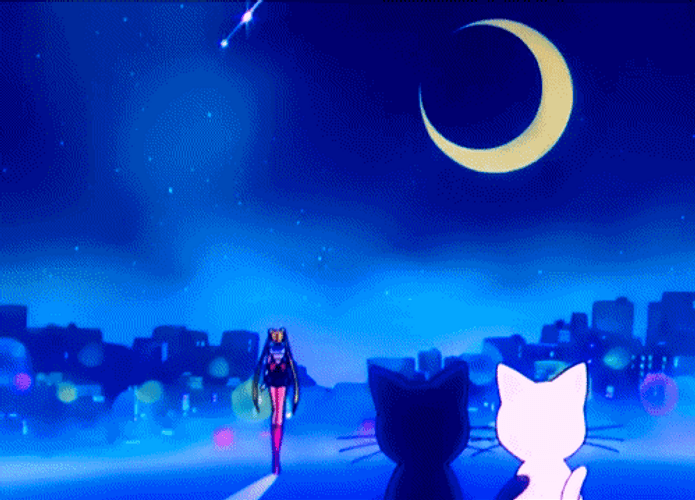 Falling Stars Animation GIF