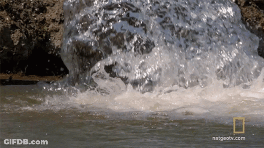 Falls Water Pouring Down GIF
