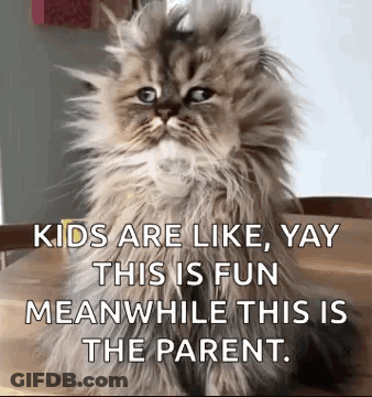 Family Guy Baby Sitting In Bed GIF