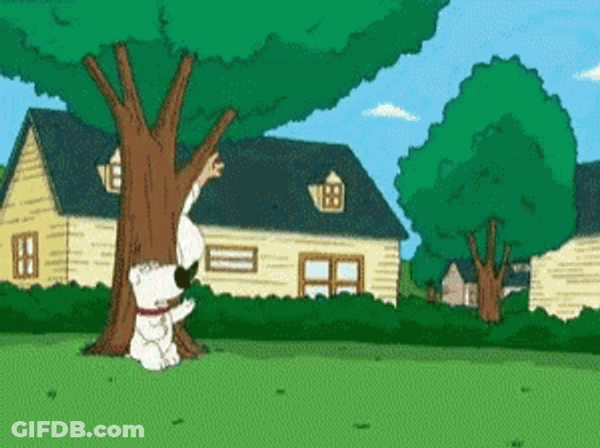Family Guy Funny Peter Tiptoe GIF