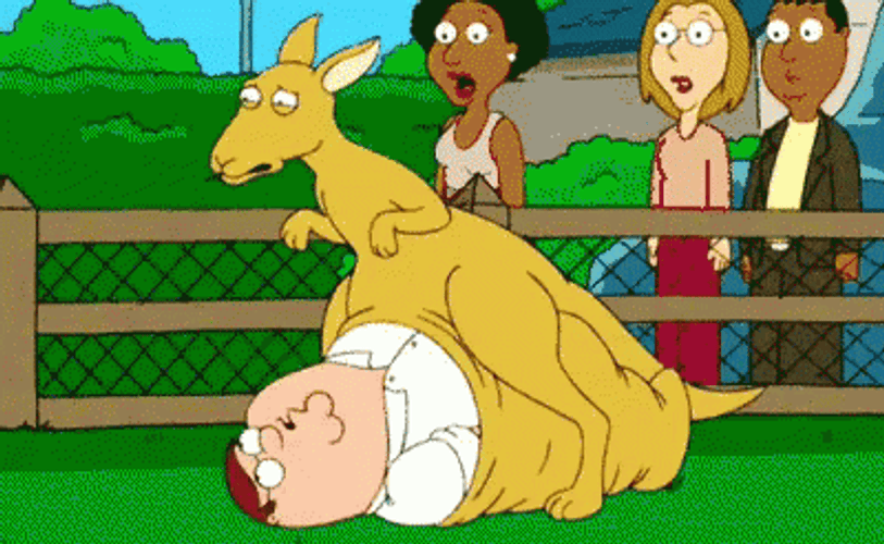 Family Guy Kangaroo Carry GIF