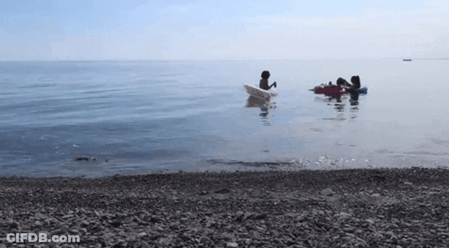 Family On The Floaties GIF