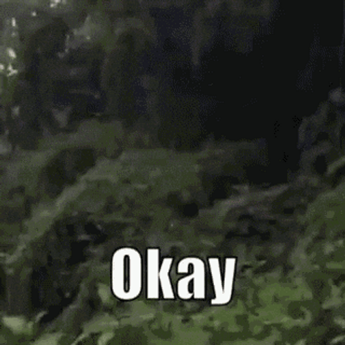 Famous Afrian Okay Meme GIF