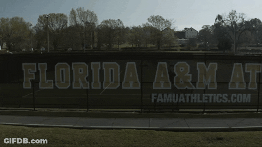 Famu Athletics Long Banner Displayed GIF