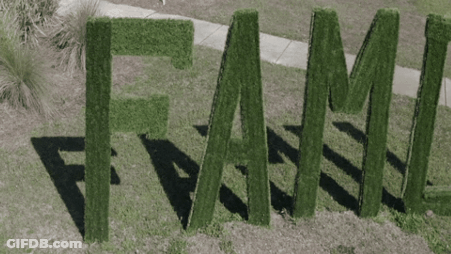 Famu Big Green Letters GIF