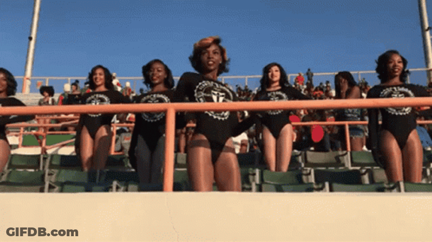 Famu Cheerleaders Performing On Bench GIF