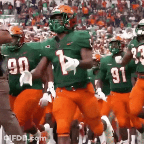 Famu Football Rattlers Entering Field GIF