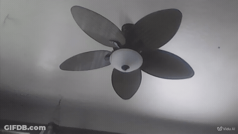 Fan GIF