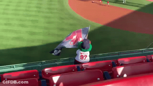 Fan Wearing Wally 97 Jersey Holding Flag GIF