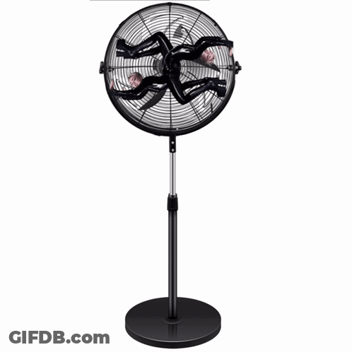 Fan With Spinning Spider GIF