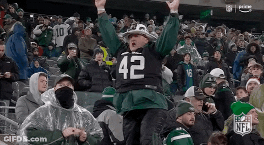 Fans Cheering For Jets GIF