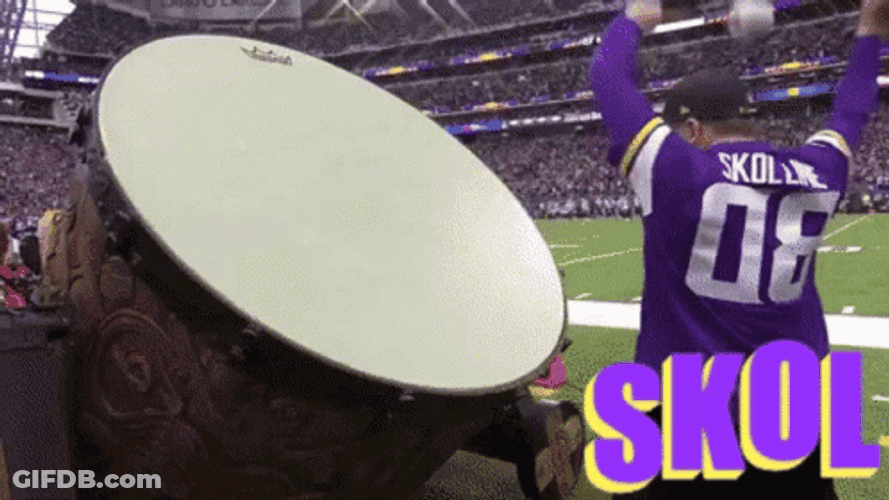 Fans Cheering For Minnesota Vikings GIF