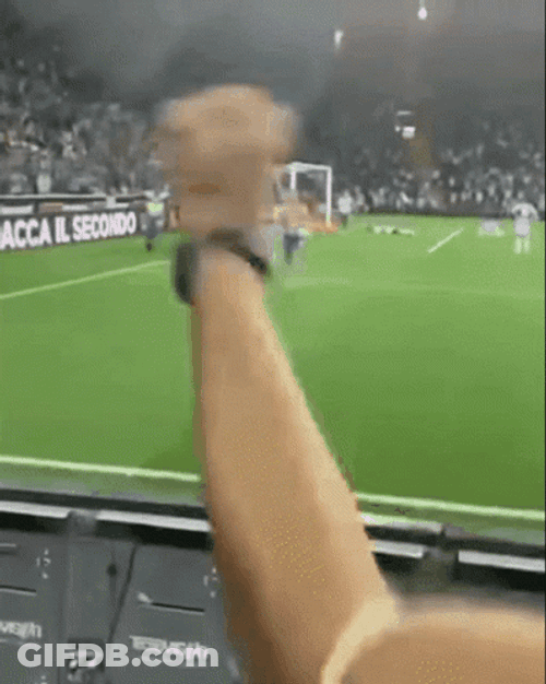 Fans Reaction Of Ronaldo Goal GIF
