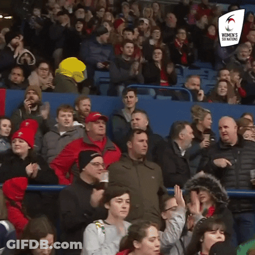 Fans Winning Reaction Womens Rugby GIF