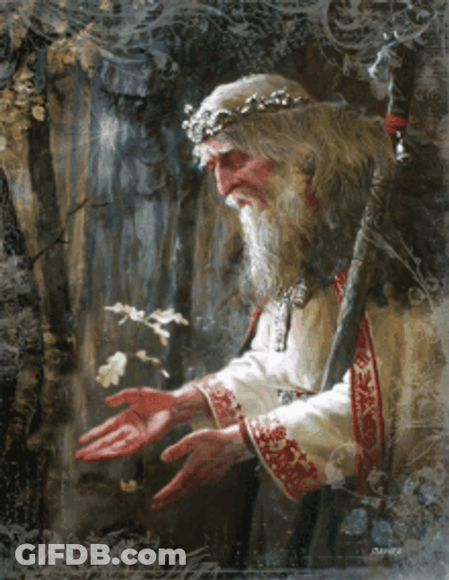 Fantasy Art Old King Looking At Flower GIF