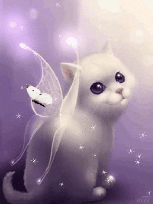Fantasy Cat Butterflies GIF