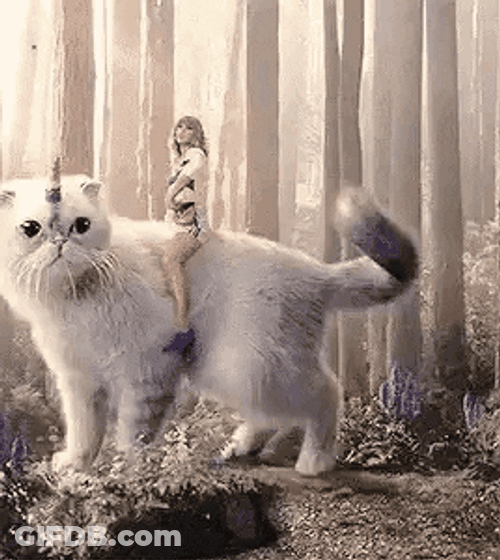 Fantasy Cat Taylor Swift GIF