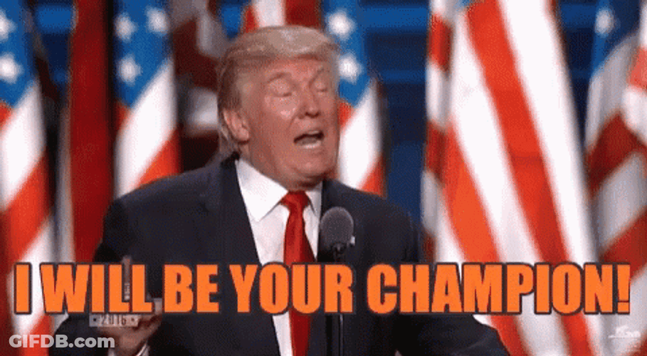 Fantasy Football Champion GIF