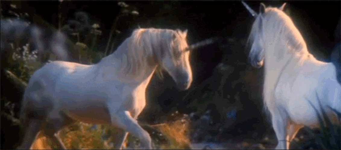 Fantasy Unicorns In Wild GIF