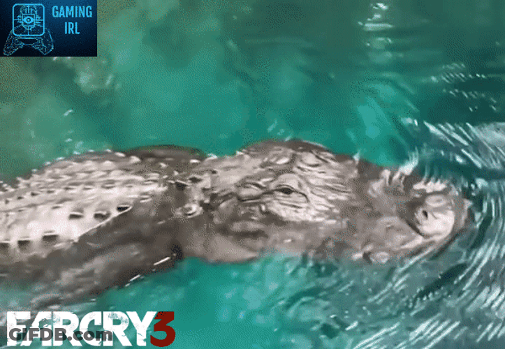Far Cry 3 Meme Crocodile GIF