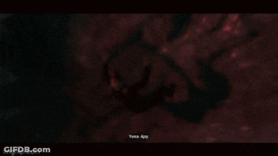 Far-Cry-4 Farcry4 GIF