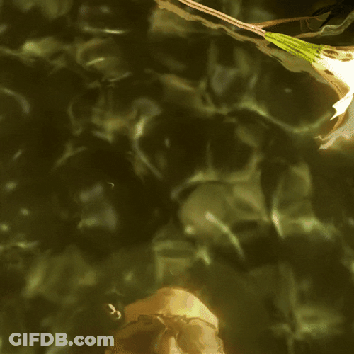 Far Cy 5 Father Reflection GIF