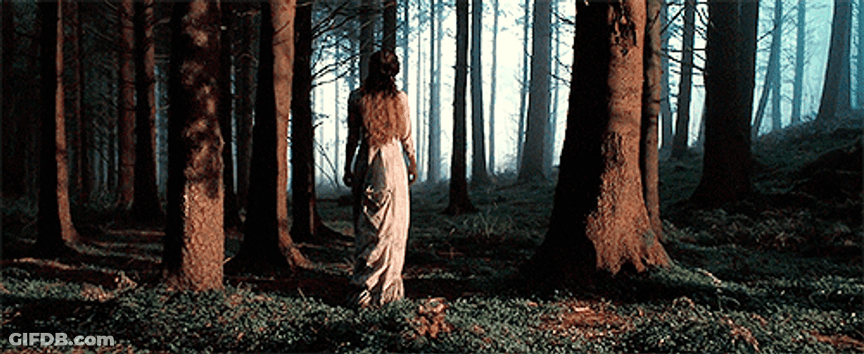 Far From Madding Crowd Forest GIF