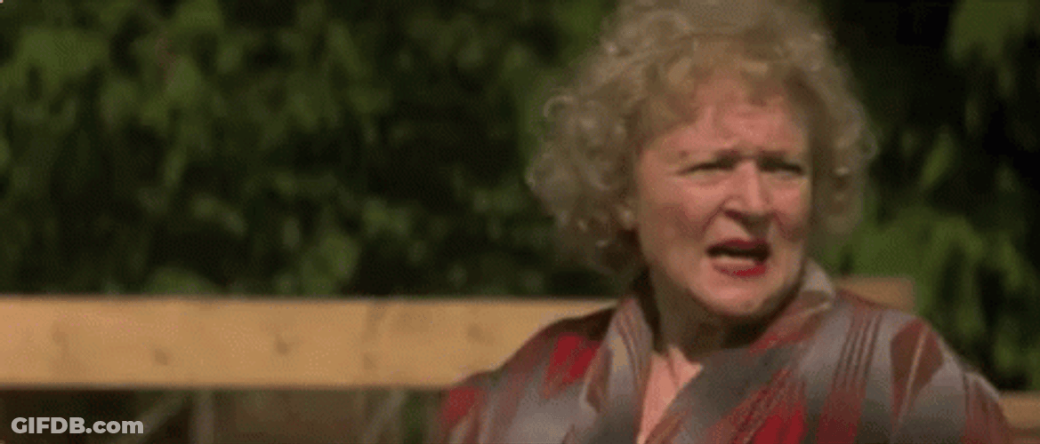 Farewell Cow Crocodile Attack GIF