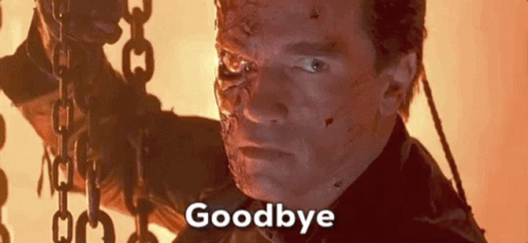Farewell Goodbye Terminator Arnold Schwarzenegger GIF