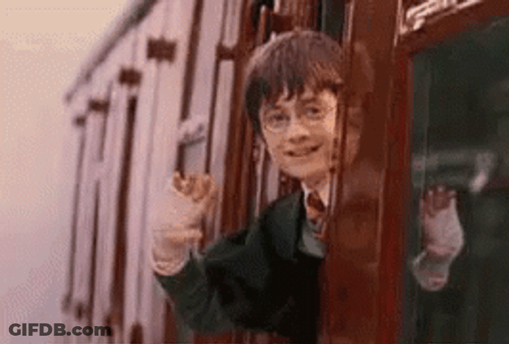 Farewell Wave Train Harry Potter GIF