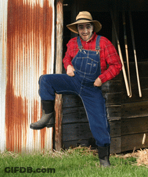 Farmer Dancing In The Barn GIF