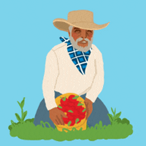Farmer Harvesting Crops GIF