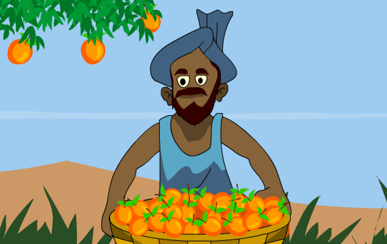 Farmer Harvesting Oranges GIF
