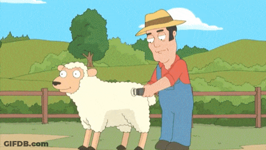 Farmer Shaving Lamb Wool GIF