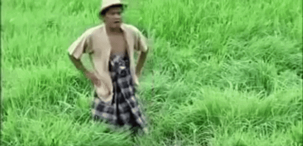 Farmer Standing In A Rice Field GIF