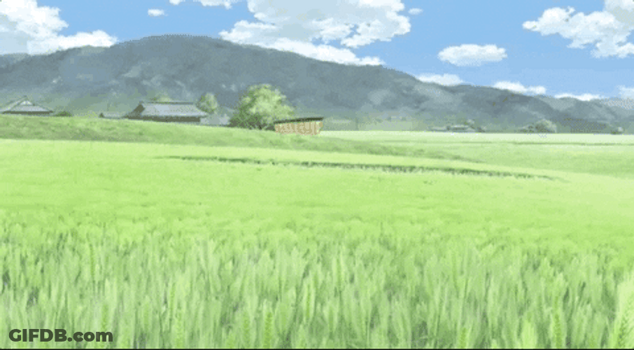 Farming Rice Field GIF