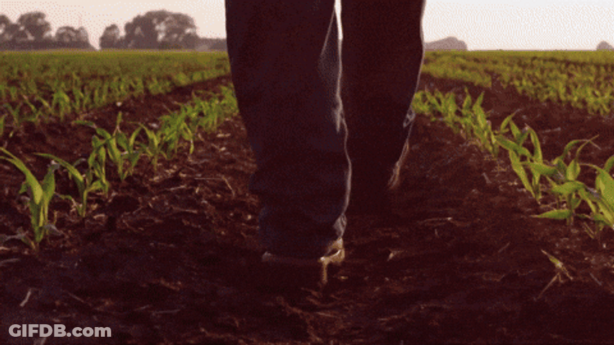 Farming Shoes Different Places GIF