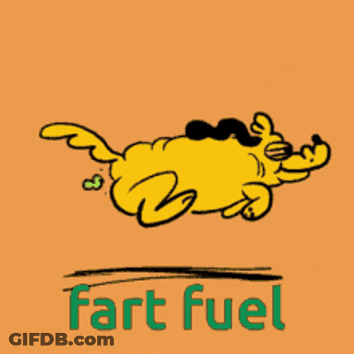 Fart Fuel Dog GIF