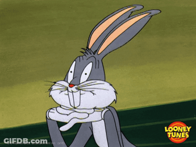 Fascinated Bugs Bunny Florida GIF