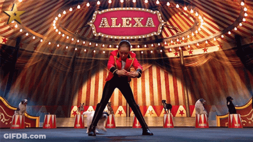 Fascinating Alexa Circus Jump Trick Stunt GIF