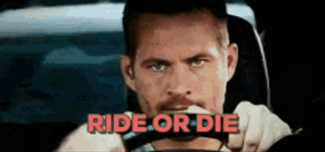 Fast And Furious Ride Or Die GIF