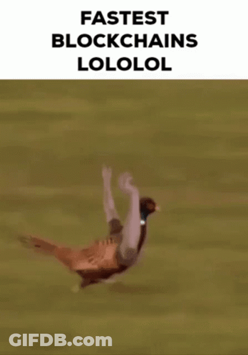 Fast Bird Help Hand GIF