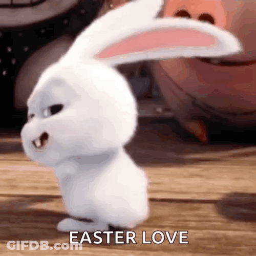 Fast Bunny Help Is On The Way Dear GIF