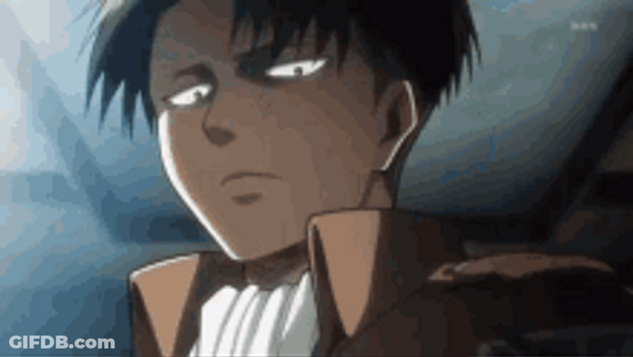 Fast Combat Soldier Levi Ackerman GIF